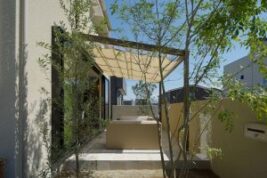 植栽で住まいにみずみずしさを出しましょう！緑のある暮らしのコツを解説します！